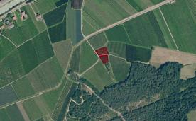 Kastelbell / Tschars: Obstwiese mit ca. 2.000 m² zu verkaufen