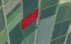 Prad am Stilfserjoch: Obstbaufähiges Grundstück mit ca. 4.800 m² zu verkaufen