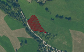 Glurns: Obstwiese mit ca. 3.000 m² zu verkaufen