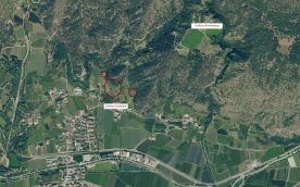 Latsch/Goldrain: Weingut mit ca. 7.200 m² in herrlicher Lage am Sonnenberg zu verkaufen