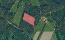 Schluderns: Auwald mit ca. 3.700 m² zu verkaufen