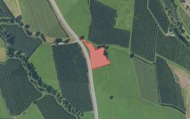 Glurns: Futterwiese mit ca. 2.280 m² zu verkaufen
