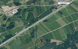 Kastelbell / Tschars: Obstwiese mit ca. 2.000 m² zu verkaufen