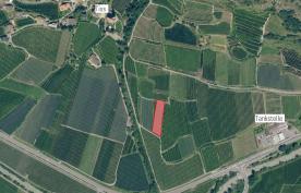 Goldenanlage in Goldrain zu verkaufen