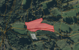 Laas / Tschengls: Landwirtschaftliches Grundstück mit ca. 6.000 m² zu verkaufen