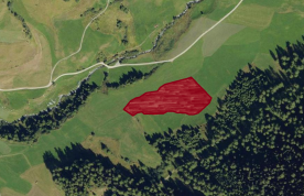 Futterwiese mit ca. 1,1 ha in Planeil zu verkaufen