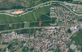 Latsch: Obstwiese mit ca. 1.910 m² zu verkaufen