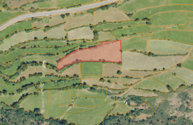 Mals/Matsch: Landwirtschaftliches Grundstück mit ca. 4.600 m² zu verkaufen