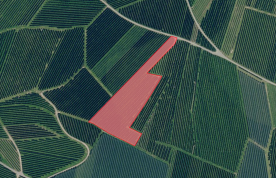 Morter: Obstwiese mit ca. 7.400 m² zu verkaufen