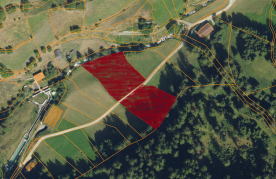 Mals/Planeil: Landwirtschaftliches Grundstück mit ca. 5.000 m² zu verkaufen