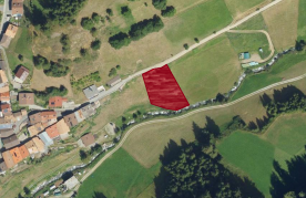 Mals/Planeil: Weide mit ca. 1.400 m² zu verkaufen