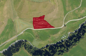 Mals/Planeil: Landwirtschaftliches Grundstück mit ca. 2.700 m² zu verkaufen