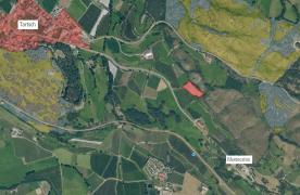 Wiese zwischen Schluderns und Tartsch
