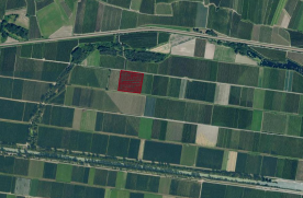 Laas: Obstwiese mit ca. 11.300 m² zu verkaufen