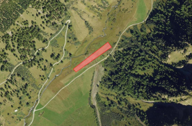 Mals/Planeil: Weide mit  ca. 5.000 m² zu verkaufen