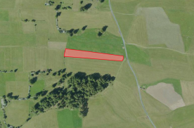 Graun / St. Valentin: Futterwiese mit ca. 3.900 m² zu verkaufen
