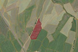 Mals / Burgeis: Landwirtschaftliches Grundstück mit ca. 5.200 m² zu verkaufen