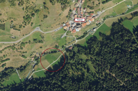 Mals/Planeil: Landwirtschaftliches Grundstück mit ca. 5.000 m² zu verkaufen