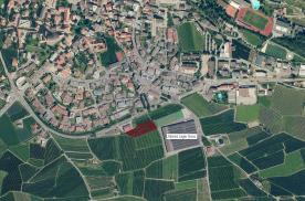 Schlanders: Obstwiese mit ca. 3.140 m²  zu verkaufen