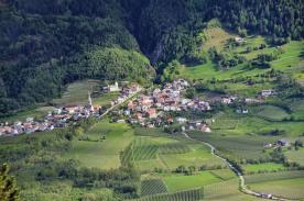 Laas / Tschengls: Obstwiese mit ca. 2.000 m² zu verkaufen