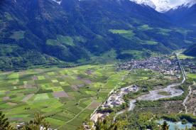 Prad am Stilfserjoch / Agums: Obstwiese mit ca. 7.140 m² zu verkaufen