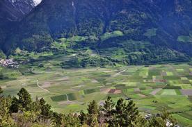 Prad am Stilfserjoch: Obstbaufähiges Grundstück mit ca. 8.800 m² zu verkaufen
