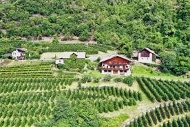 Geschlossene Höfe in Panoramalage in Naturns zu verkaufen