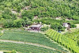 Geschlossene Höfe in Panoramalage in Naturns zu verkaufen