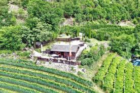 Geschlossene Höfe in Panoramalage in Naturns zu verkaufen