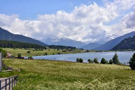 St. Valentin: Landwirtschaftliches Grundstück mit ca. 5.300 m² zu verkaufen