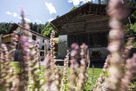 Stilfser Brücke: Wohnhaus mit umliegender Grundfläche zu verkaufen