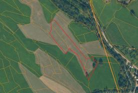 Futterwiese mit 6.700 m² in Laatsch zu verkaufen