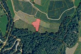 Landwirtschaftliches Grundstück in Prad am Stilfserjoch zu verkaufen