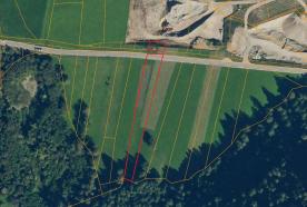 Mals / Laatsch: Wiese mit 3.200 m² zu verkaufen