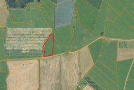 Mals: Landwirtschaftliches Grundstück zu verkaufen