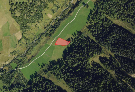 Mals/Planeil: Landwirtschaftliches Grundstück, ca. 3.400 m² zu verkaufen