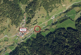 Mals/Planeil: Weide mit ca. 1.400 m² zu verkaufen