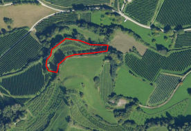 Laas / Tschengls: Landwirtschaftliches Grundstück mit ca. 3.100 m² zu verkaufen