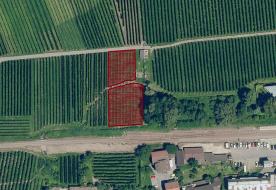Latsch: Obstwiese mit ca. 1.910 m² zu verkaufen