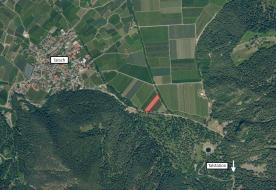 Obstwiese mit ca. 4.200 m² in Tarsch zu verkaufen