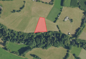 Taufers im Münstertal: Futterwiese mit ca. 1.800 m² zu verkaufen