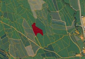 Glurns: Obstbaufähiges Grundstück mit ca. 5.400 m² zu verkaufen