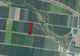Laas: Obstwiese mit ca. 2.400 m² zu verkaufen