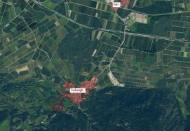 Laas / Tschengls: Obstbaufähige Wiese zu verkaufen