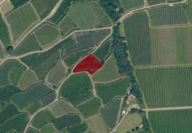 Latsch/Tarsch: Obstwiese mit ca. 1.800 m² zu verkaufen