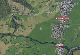 Taufers im Münstertal: Landwirtschaftliches Grundstück mit ca. 1.300 m² zu verkaufen