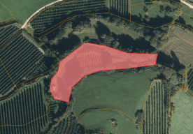 Laas / Tschengls: Landwirtschaftliches Grundstück mit ca. 3.100 m² zu verkaufen