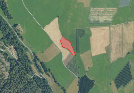 Mals: Landwirtschaftliches Grundstück mit ca. 3.040 m² zu verkaufen