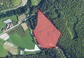 Martell: Wald mit ca. 5 ha zu verkaufen
