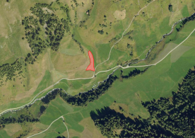 Mals/Planeil: Landwirtschaftliches Grundstück mit ca. 1.600 m² zu verkaufen